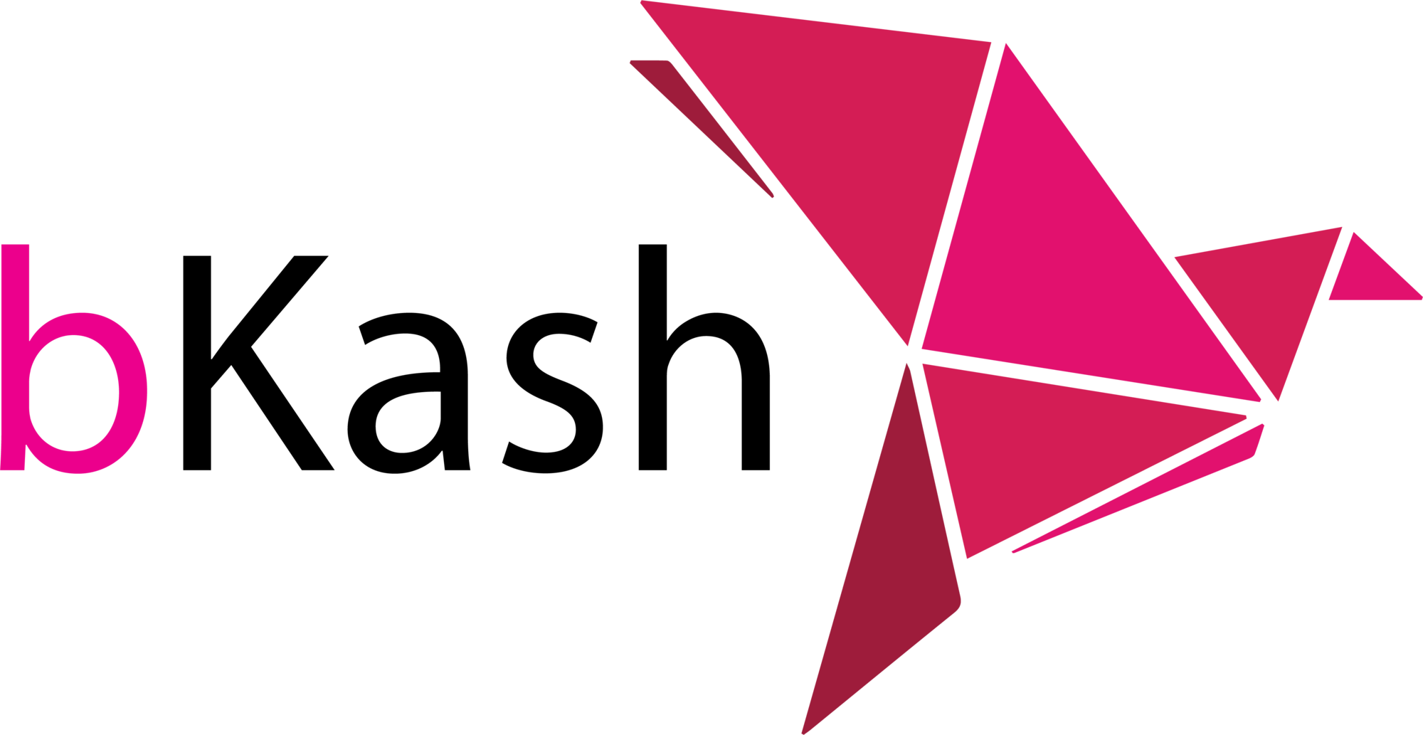 bKash logo